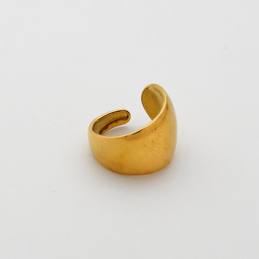 ANILLO ASIMÉTRICO